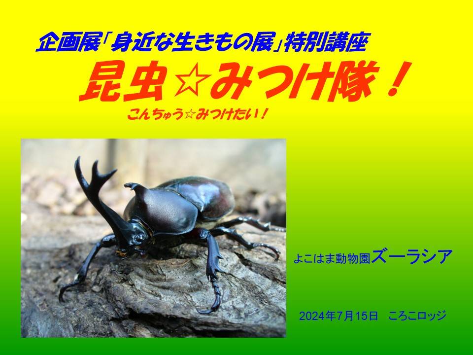 ~ 特別講座「昆虫☆みつけ隊」 報告 ~の写真