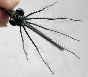 宇宙人・・！？