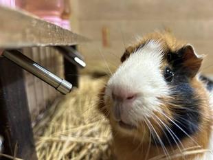 たっぷり水分補給！