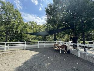 暑い日には・・・