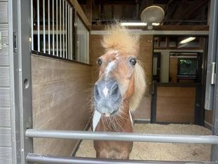 目指せ！以心伝心！