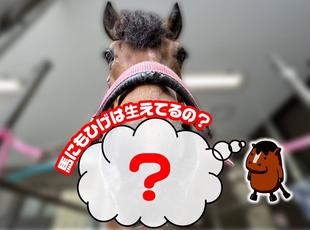 勝手にQ&A！その３