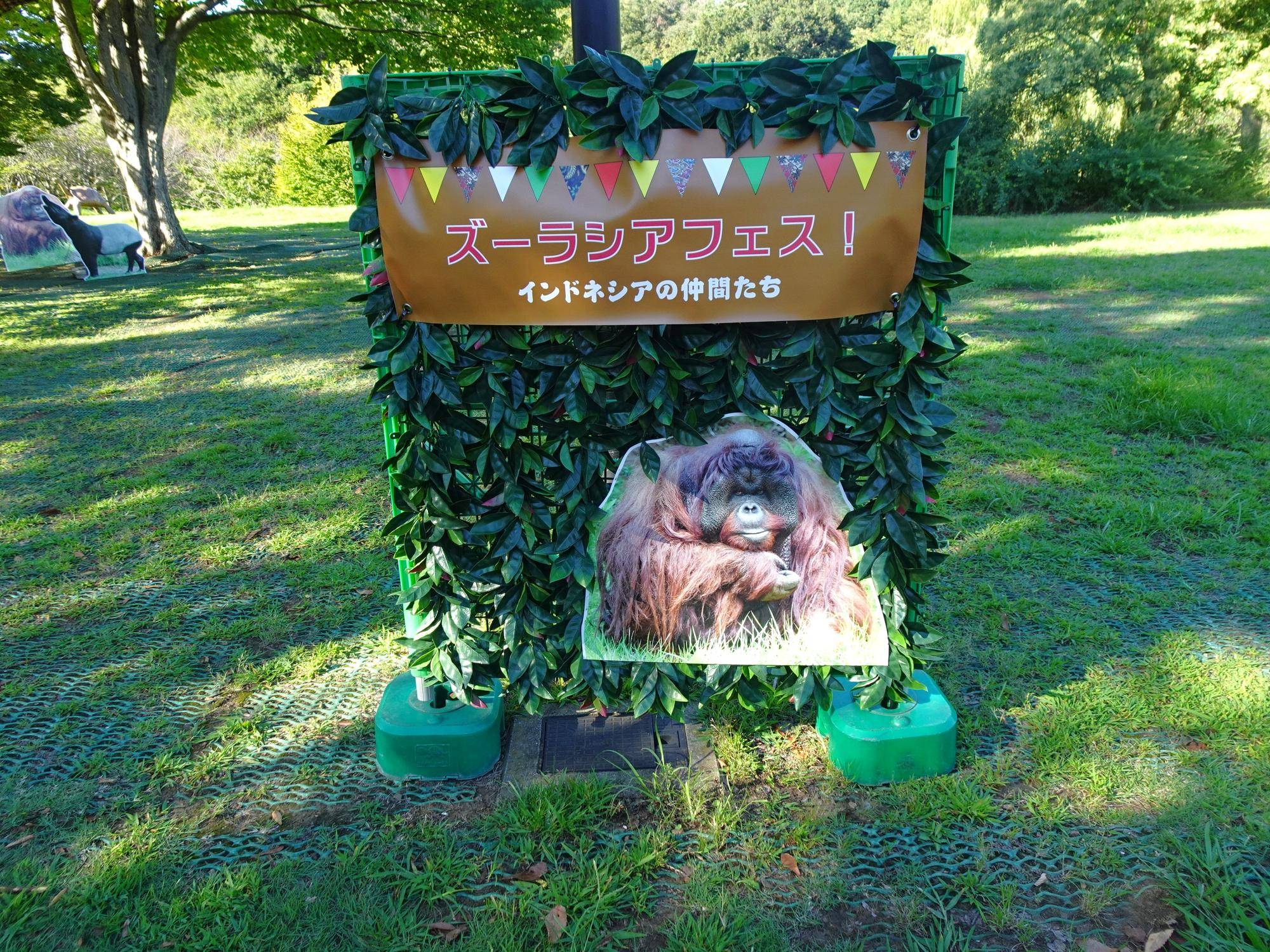 ズーラシアフェス!始まりますよ♪の写真