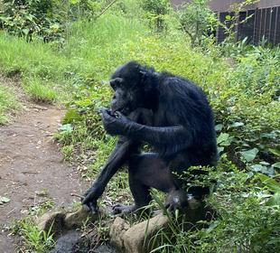 ケンジの誕生日！