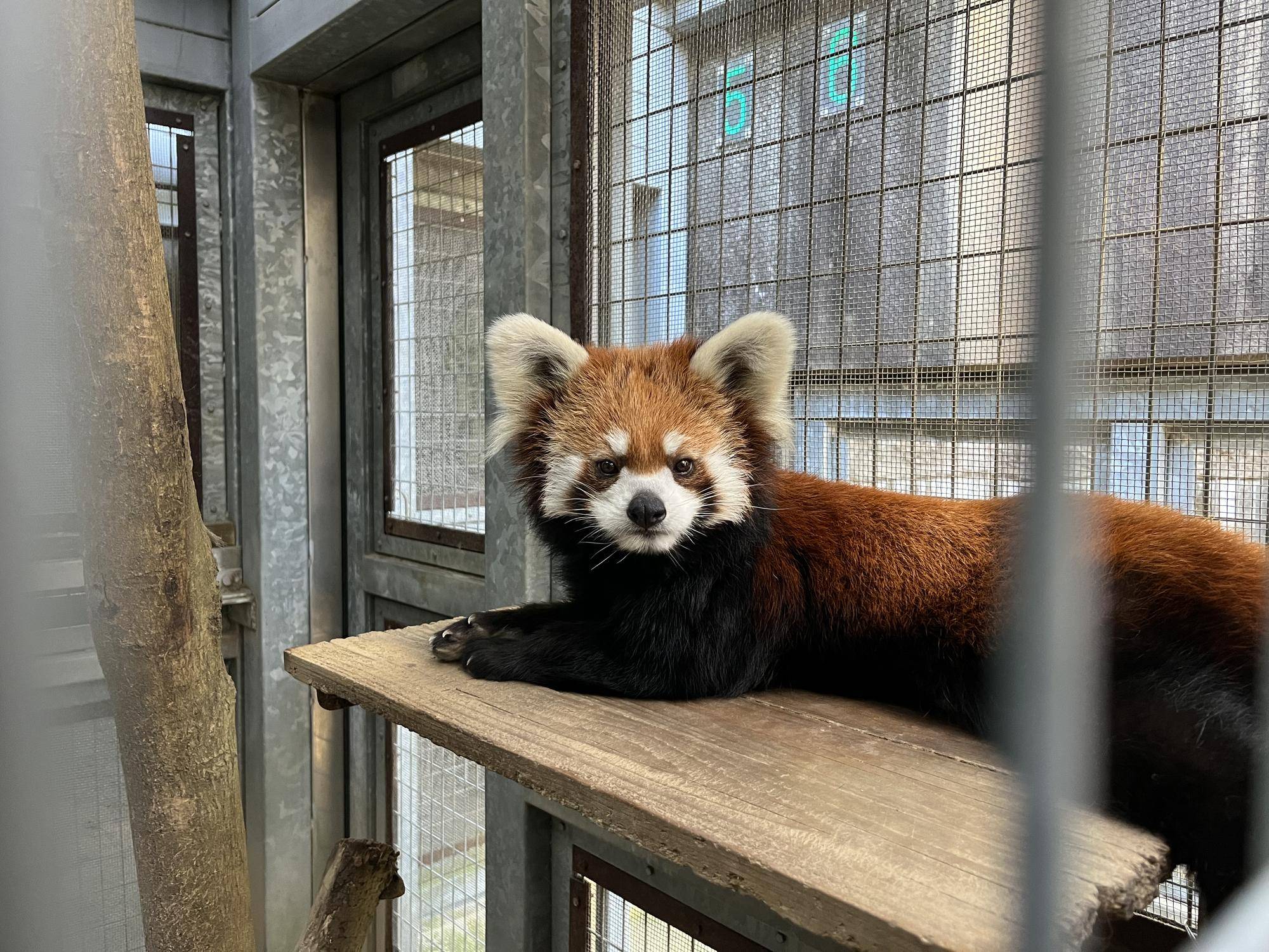 つくっています・・・の写真