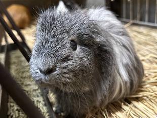 Pick up モル！③