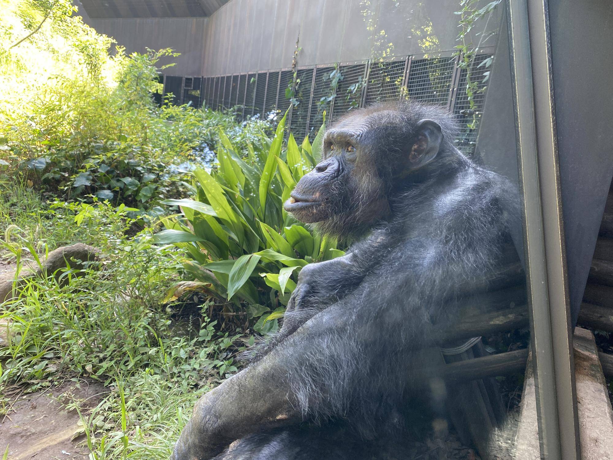 カズヤの誕生日!の写真