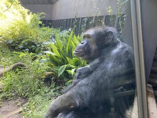 カズヤの誕生日！