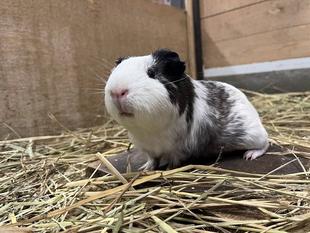 モルーティーン２～お仕事編～