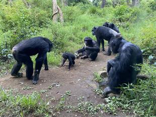 コサチ　1歳の誕生日！