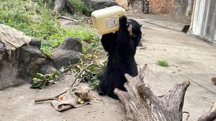 メガネ通信 メガネタンク美雨
