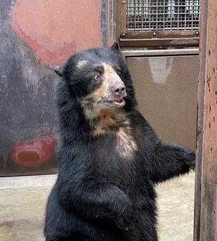 メガネ通信　美雨はミタ!