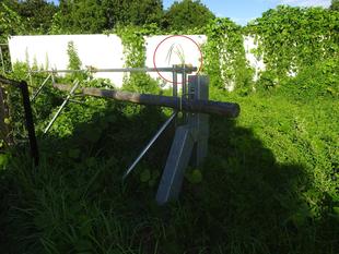 ～　ど根性　ススキ！　～