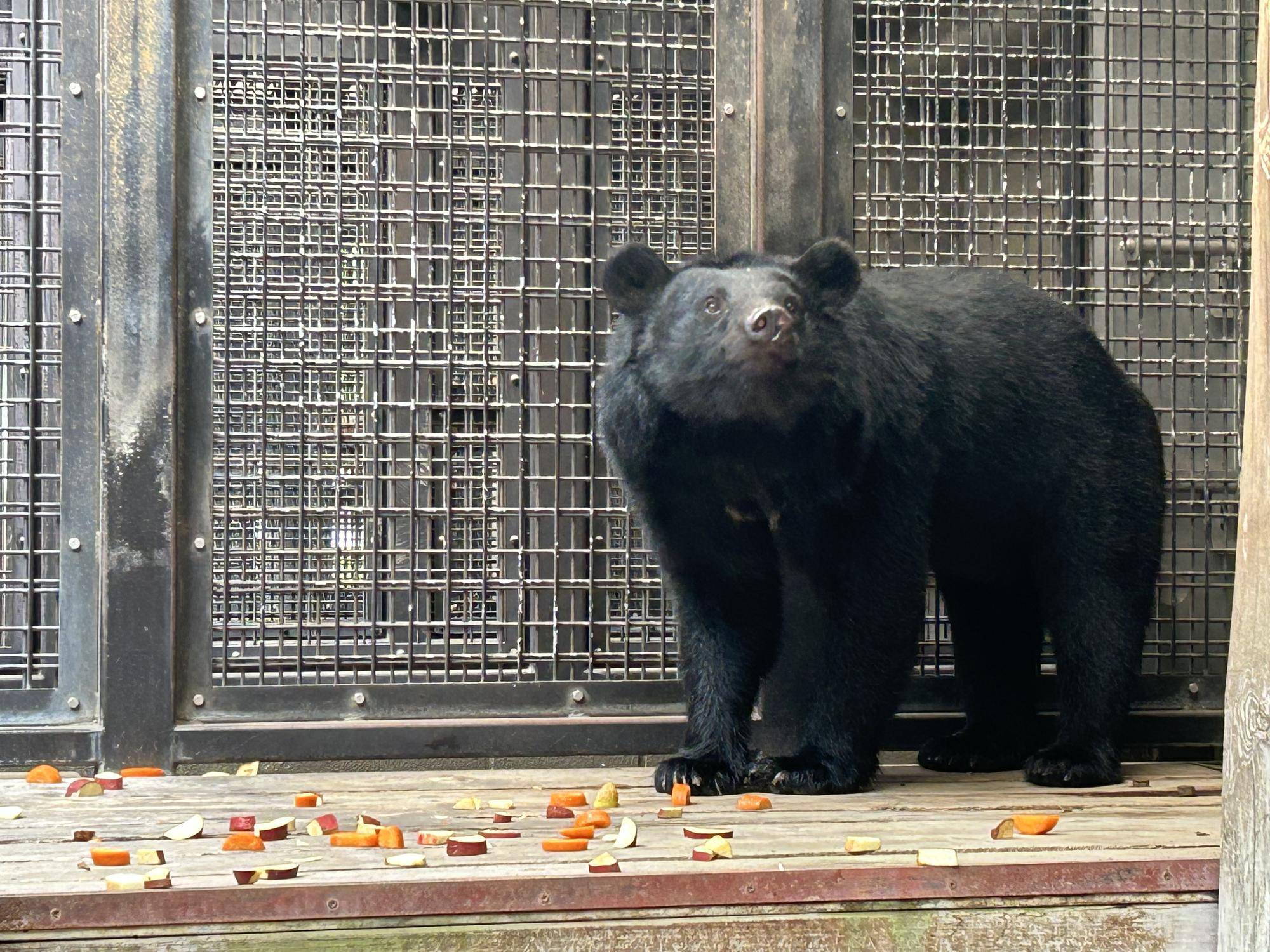 メリー元気です!の写真