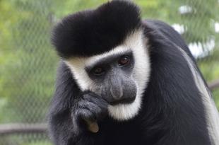 食欲の秋、堪能中！