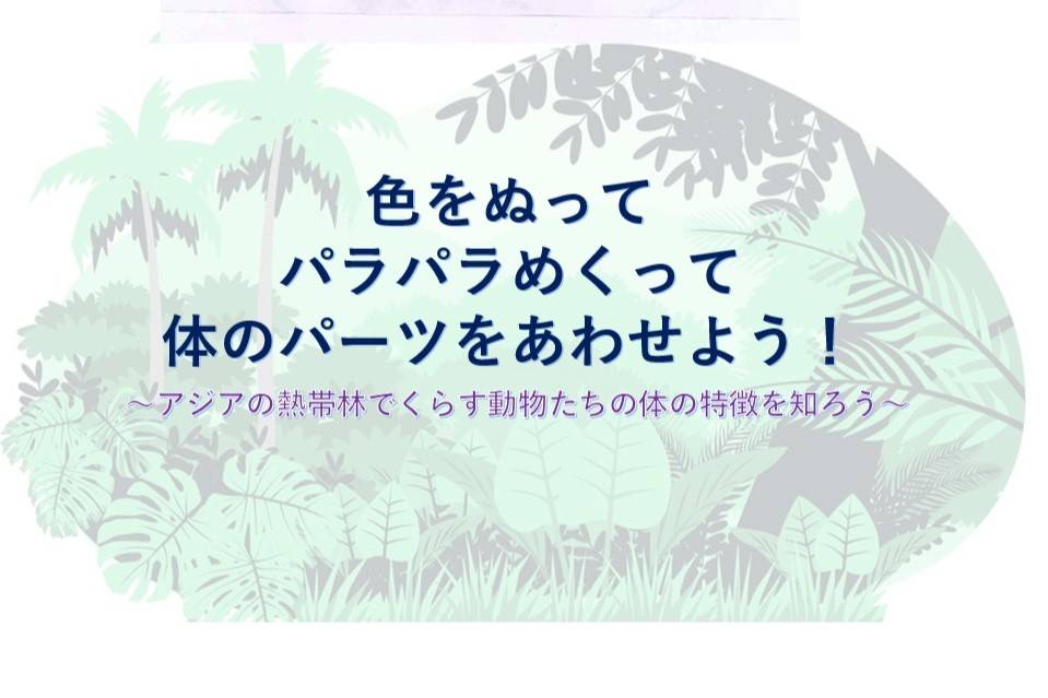 11月のどうぶつ教室は...アジアの熱帯林ゾーンがテーマ!!!の写真