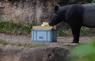 🎃Happy Halloween🎃　１日目