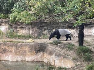 🎃Happy Halloween🎃　2日目