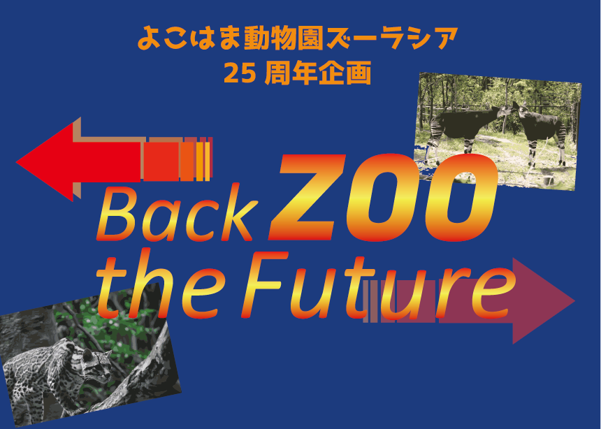 25周年企画展をちょい見せ!の写真