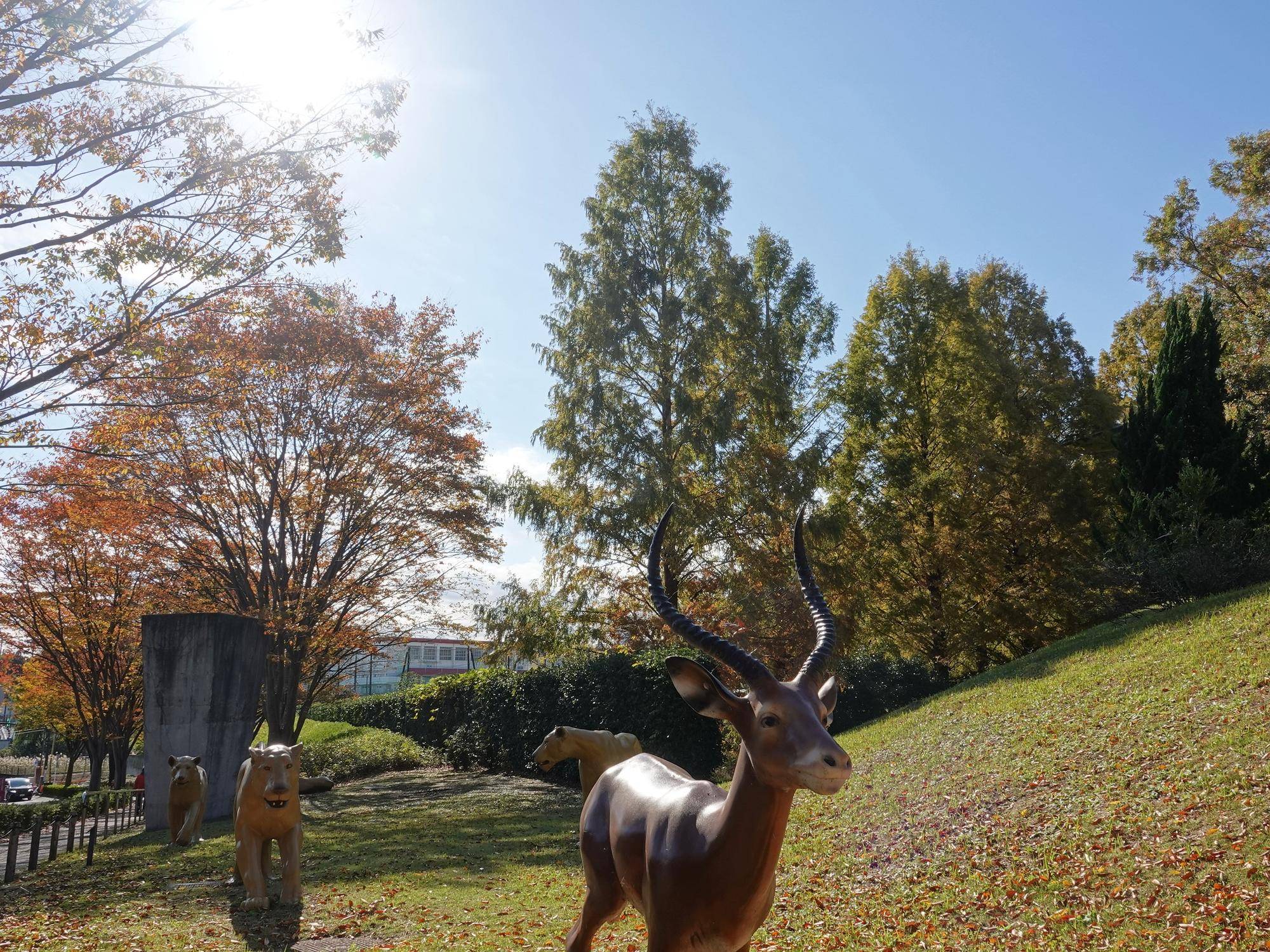 園内の紅葉は?🍁の写真