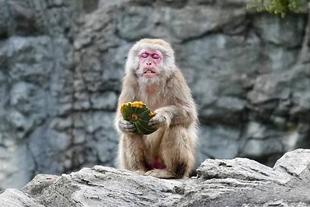 ありがとう、イッチャン