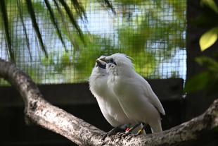 どこにいるかな？探してみてね！