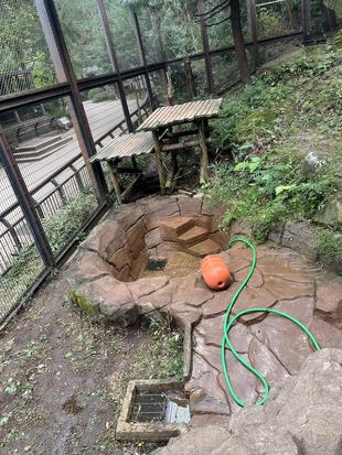 アムールヒョウ担当者の休園日