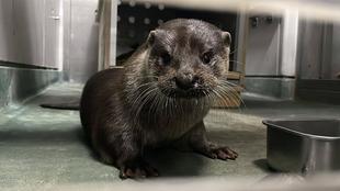 にぎやかになりました！！