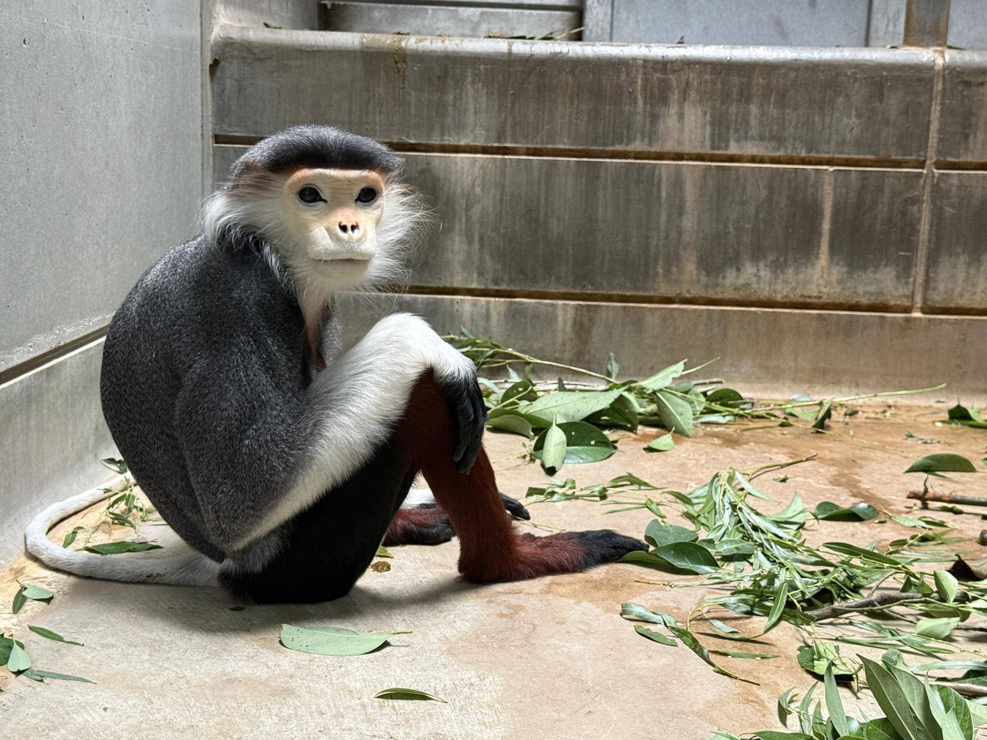 ラーにたくさんの感謝を込めての写真
