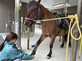 光翔、最近の課題