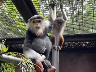 ダオ×FAMILY CODE:3 大好きな父