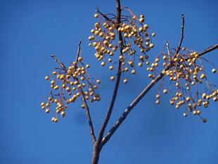 ～　冬なのに・・・　～