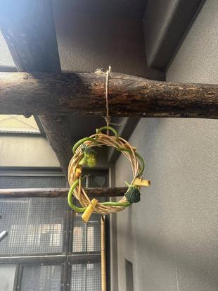 テングザルのクリスマス♪