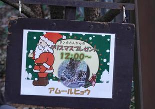 アムールヒョウのクリスマスガイド