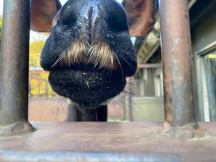 誕生日!!おめでとう🎂