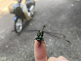 ご新規さんいらっしゃい