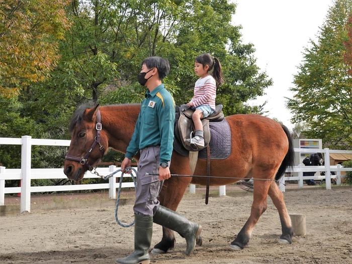 ⑦ひき馬体験.jpg