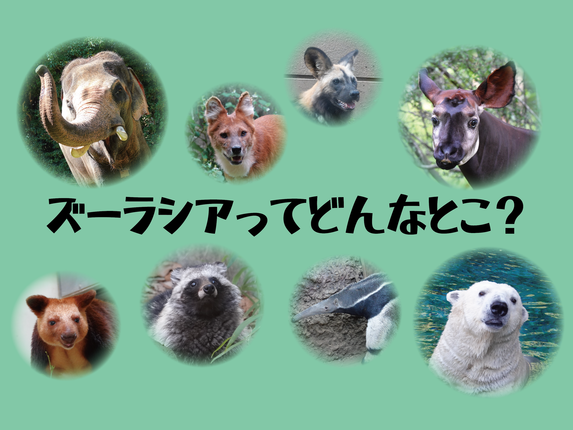 ズーラシアってどんなとこ?~わんぱくの森~の写真
