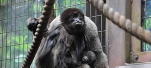 ハーブ、ありがとう