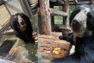 メガネ通信　happy birthday！雪雄&美雪❄️