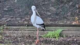 リニューアルした展示場にいます！