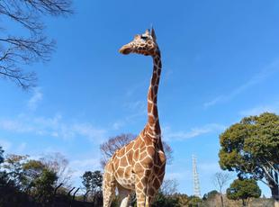 混合展示場のキリン、大接近