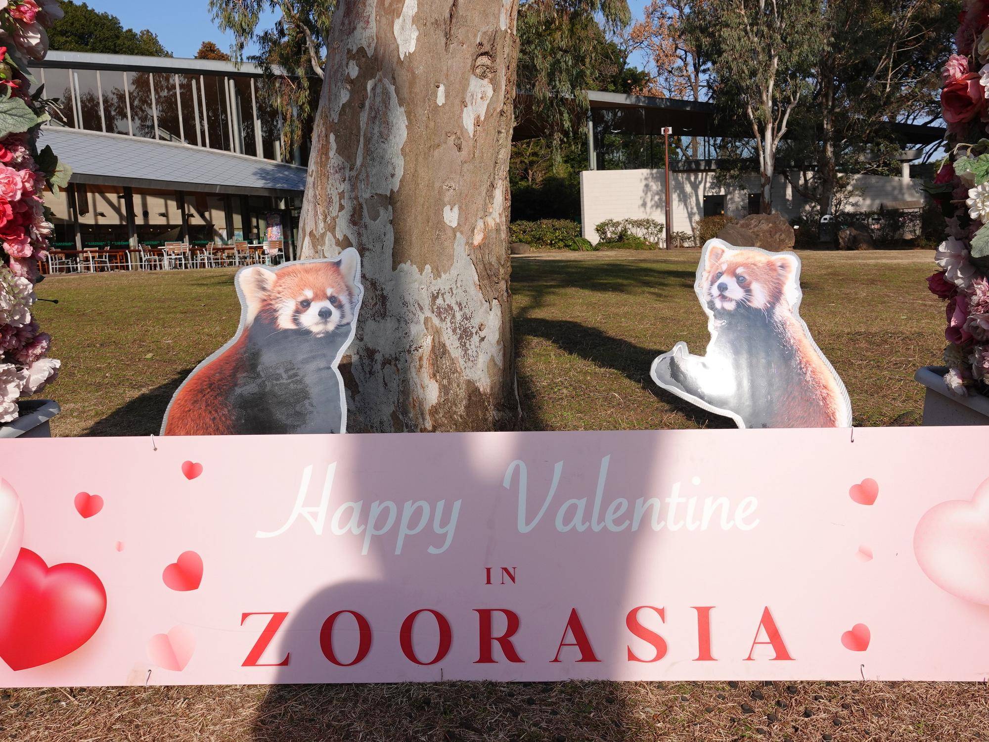 バレンタインが始まりました💕の写真