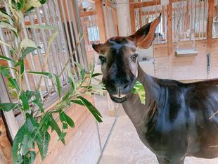 ☆2025年もよろしくお願いします☆