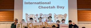 チーターブログ　国際チーターの日イベントを実施しました！
