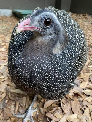 ある日の作業中・・・🔨