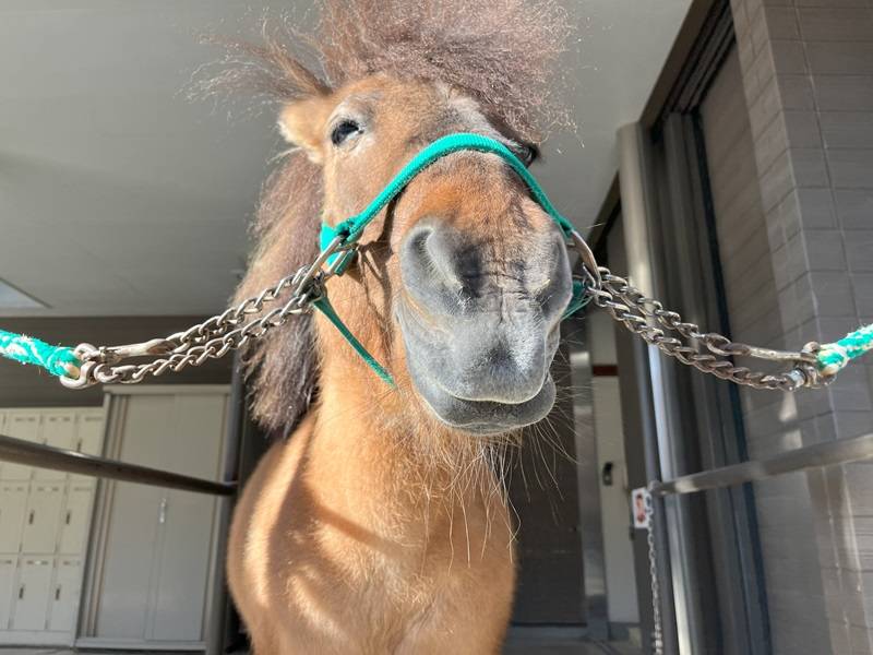 こんなところにの写真
