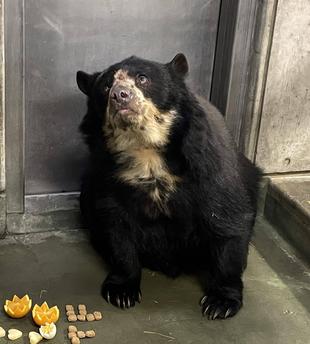 メガネ通信👓　美雨21歳！おめでとう🎉