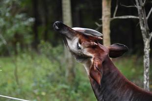 久々の屋外展示場！