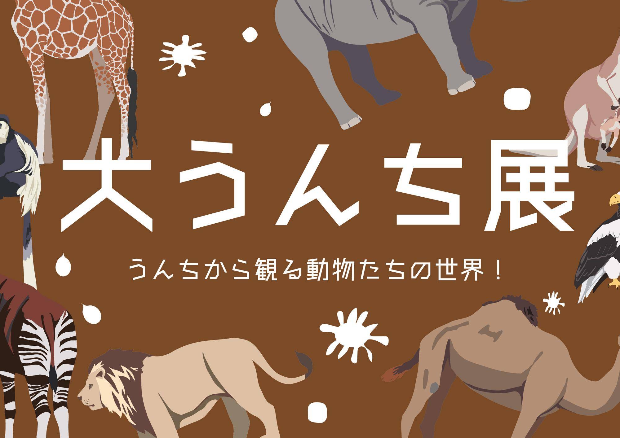 大うんち展の写真